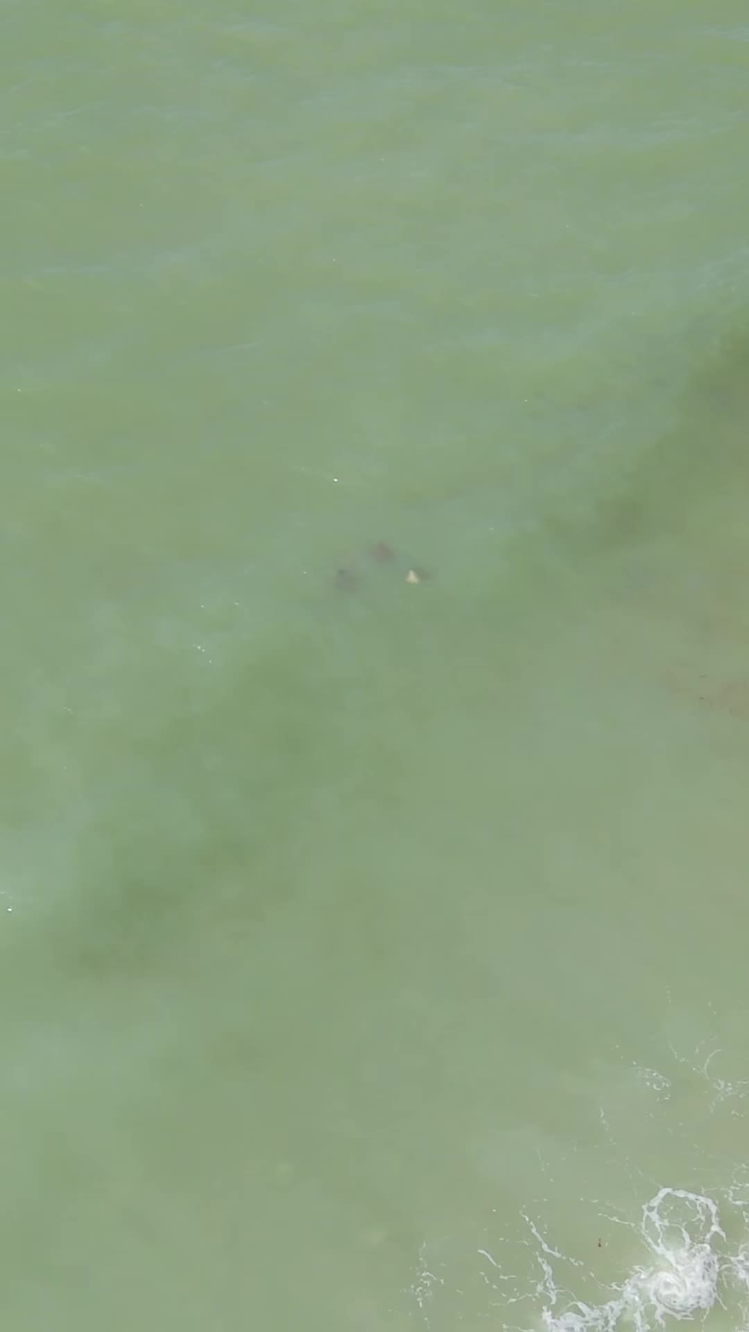 @Drone Cam