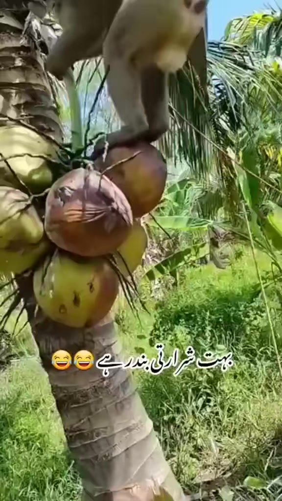 @kanyankole media