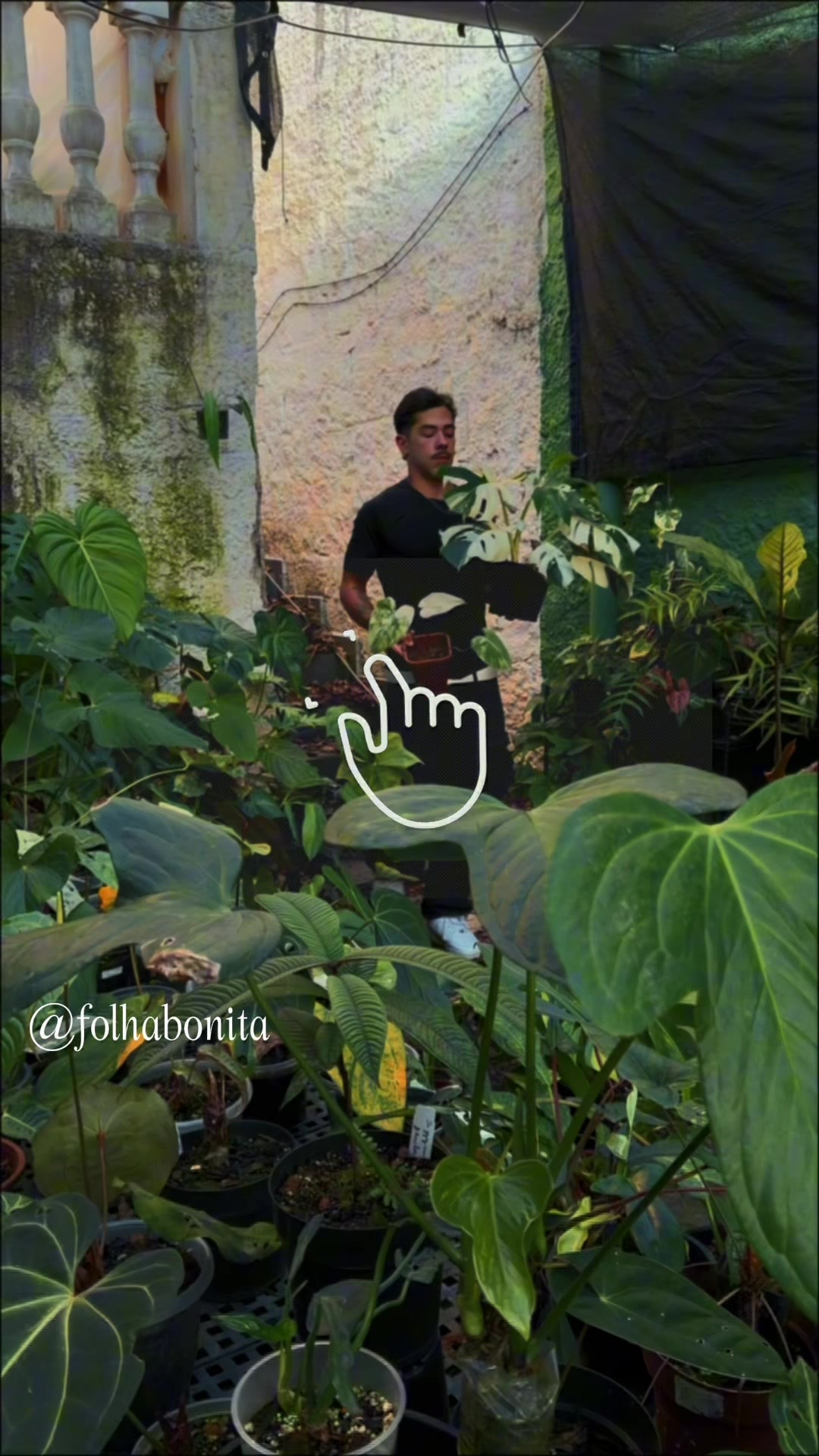 @Otávio Pichirillo