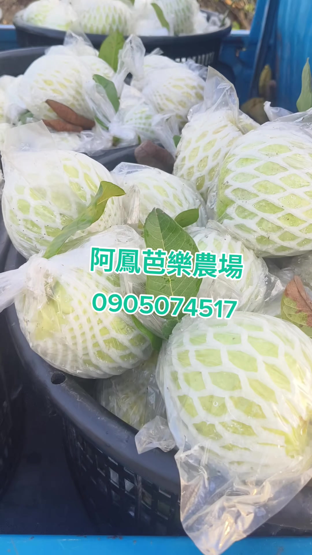 @阿軒