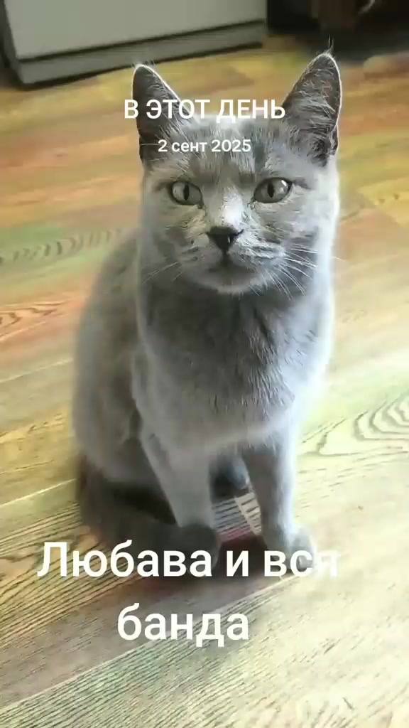 @Юрик