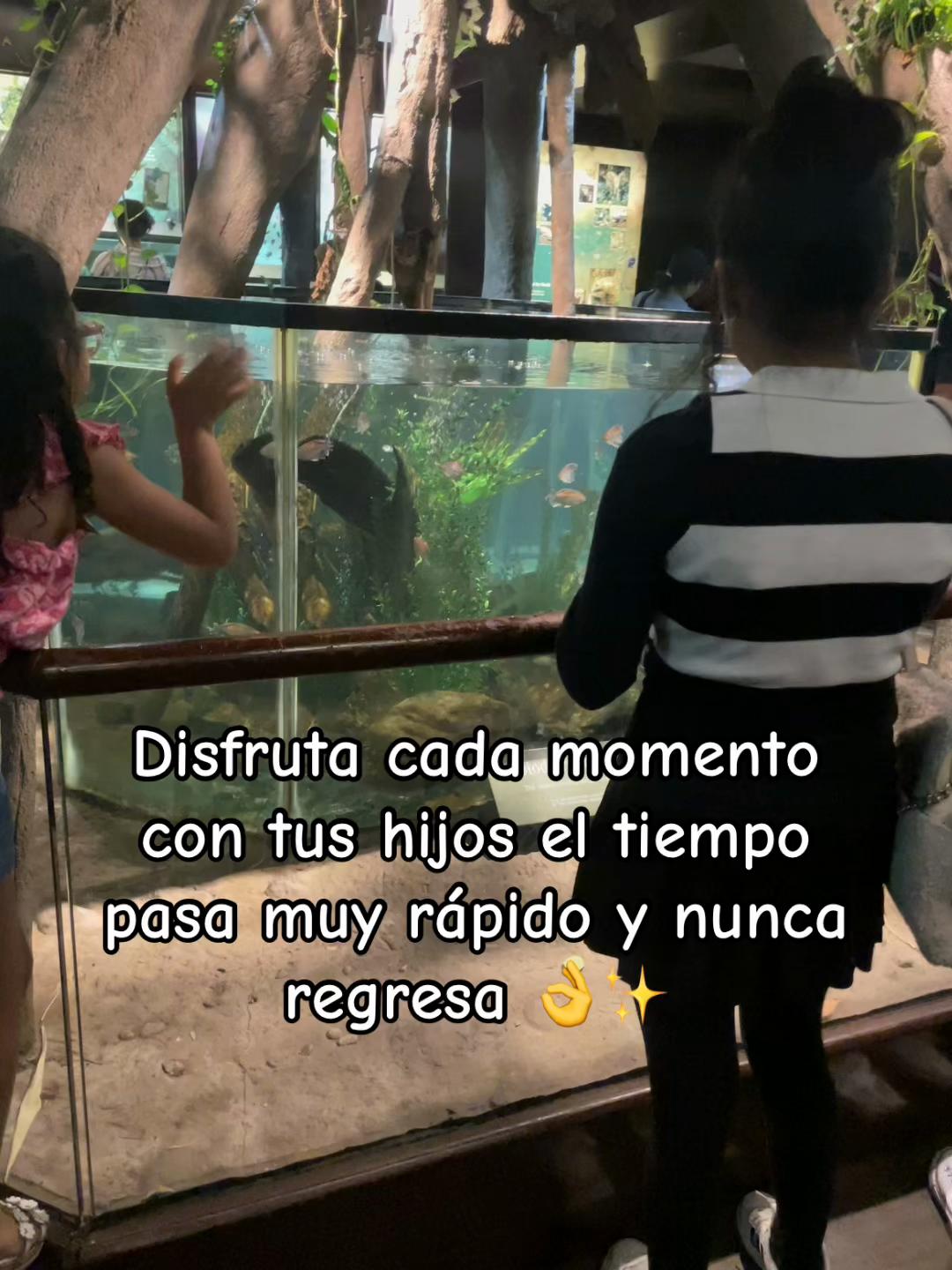 @pauly96😍🙏😍