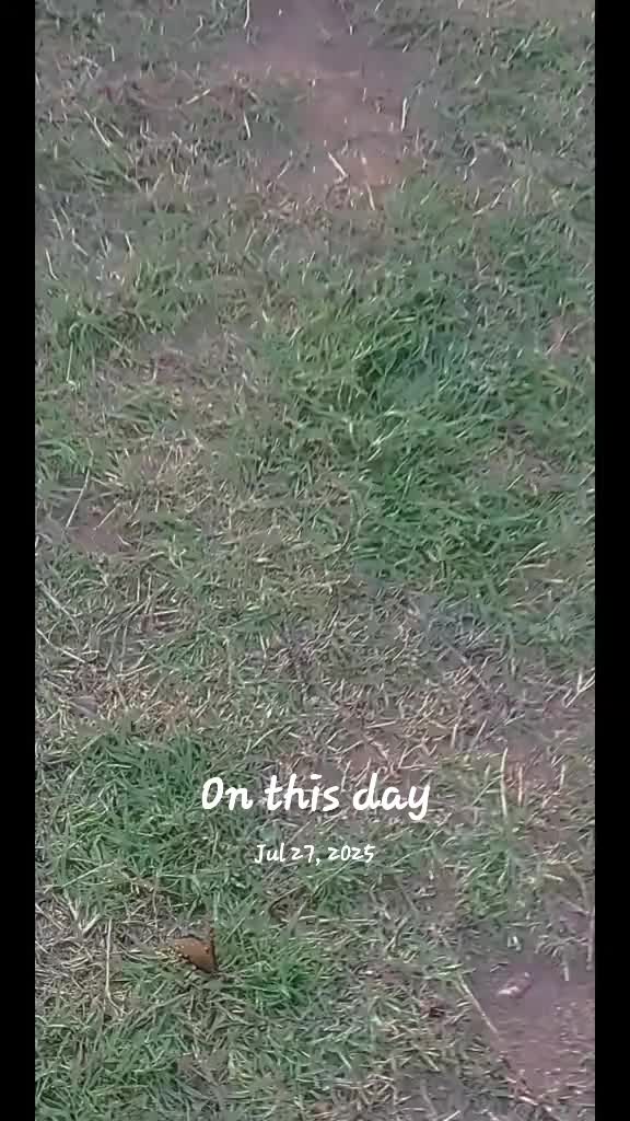 @Sonia&Rosieroo♥️🐾