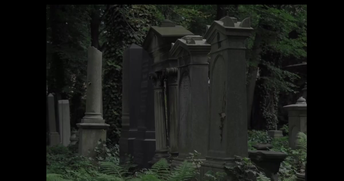 @🦇⚰️SINA MATIX⚰️🦇
