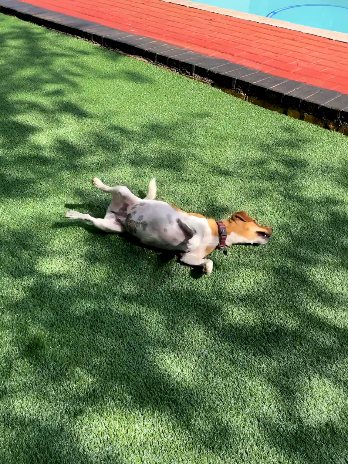 @artificialgrassinstaller