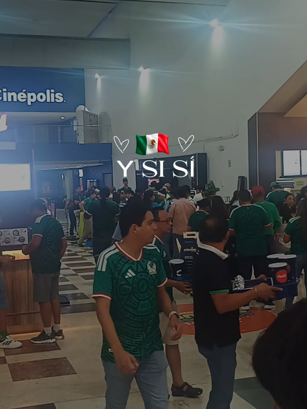 @Edgar Guzm&aacute;n | VW Veracruz