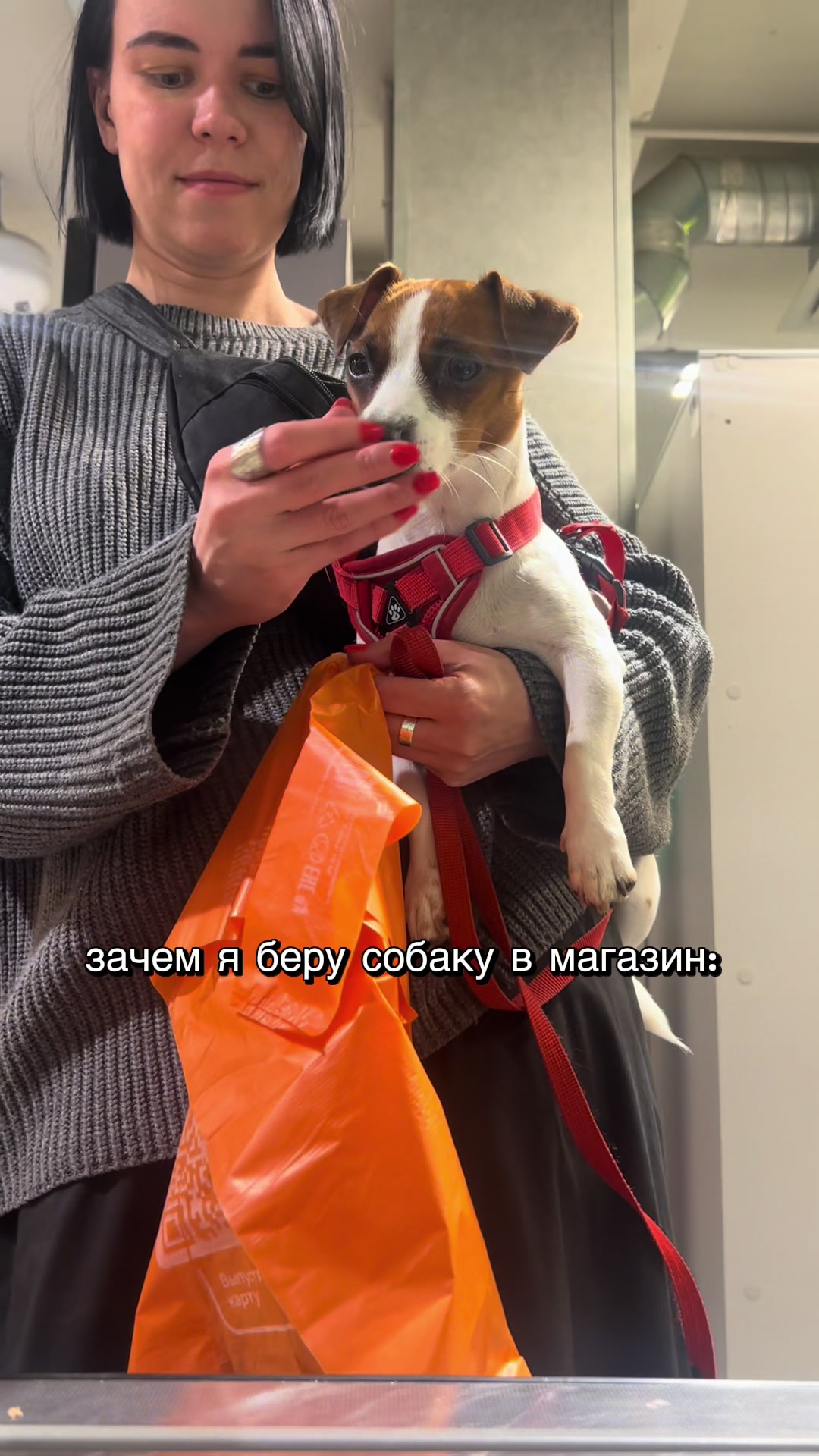 @Ольга психолог и Элли 🐶