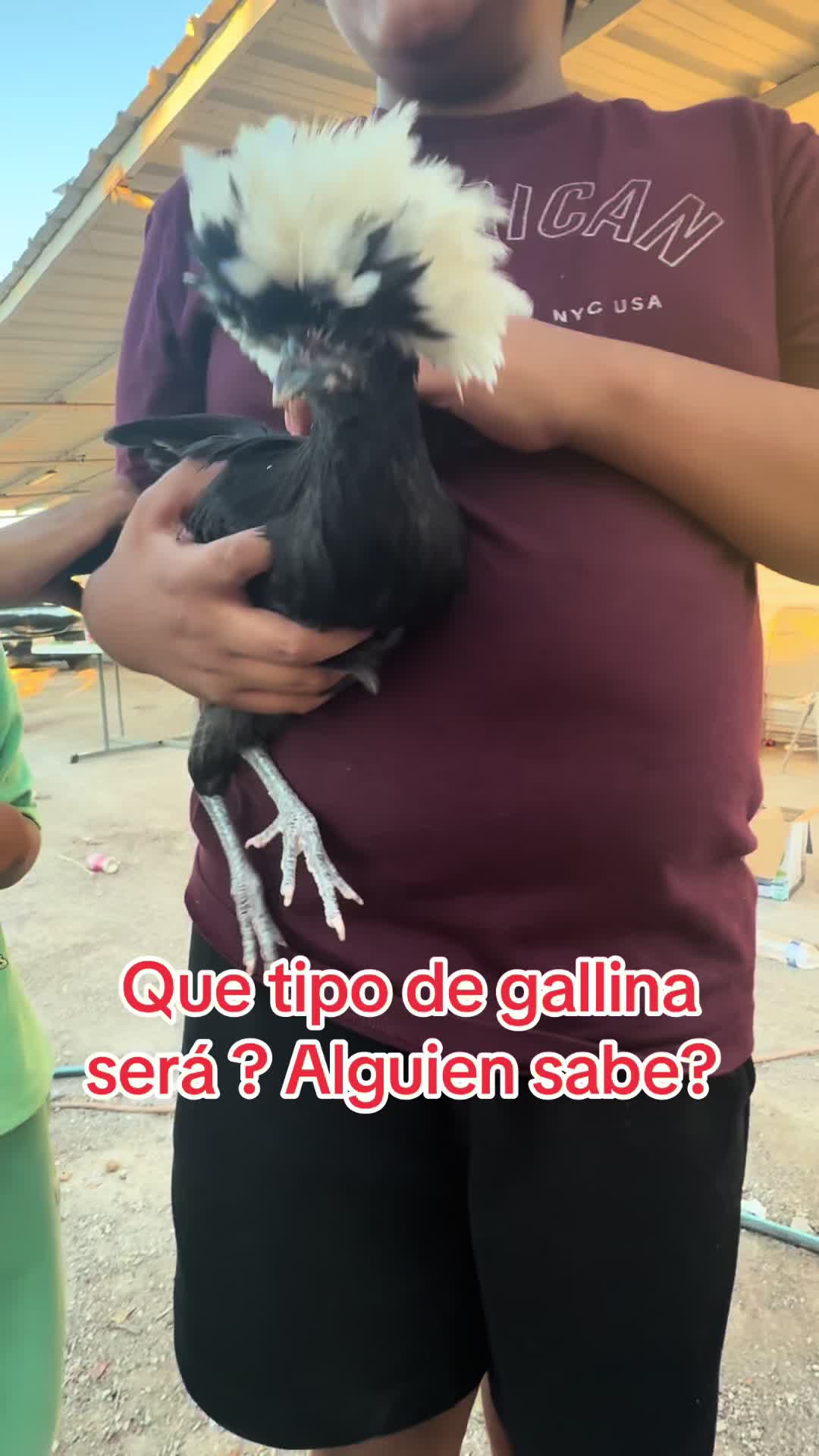 @🤎A.D🌻 💖