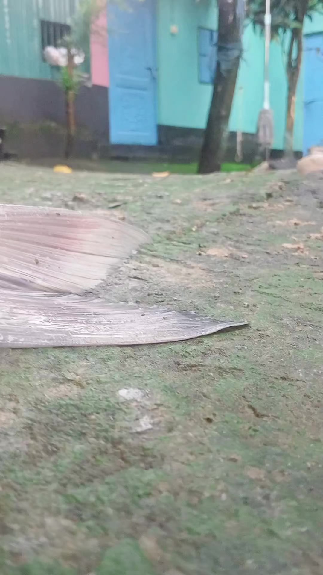 @সুজন মিয়া