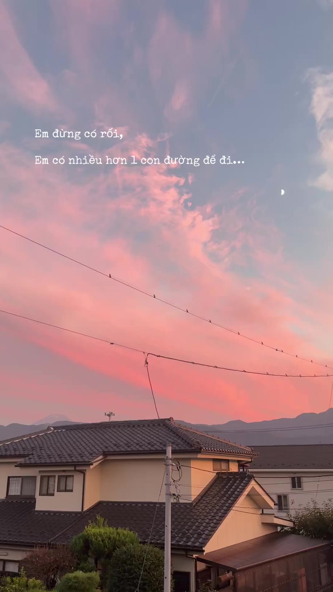 @Zoe🌵