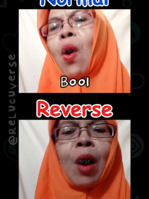 @ReLucuVerse