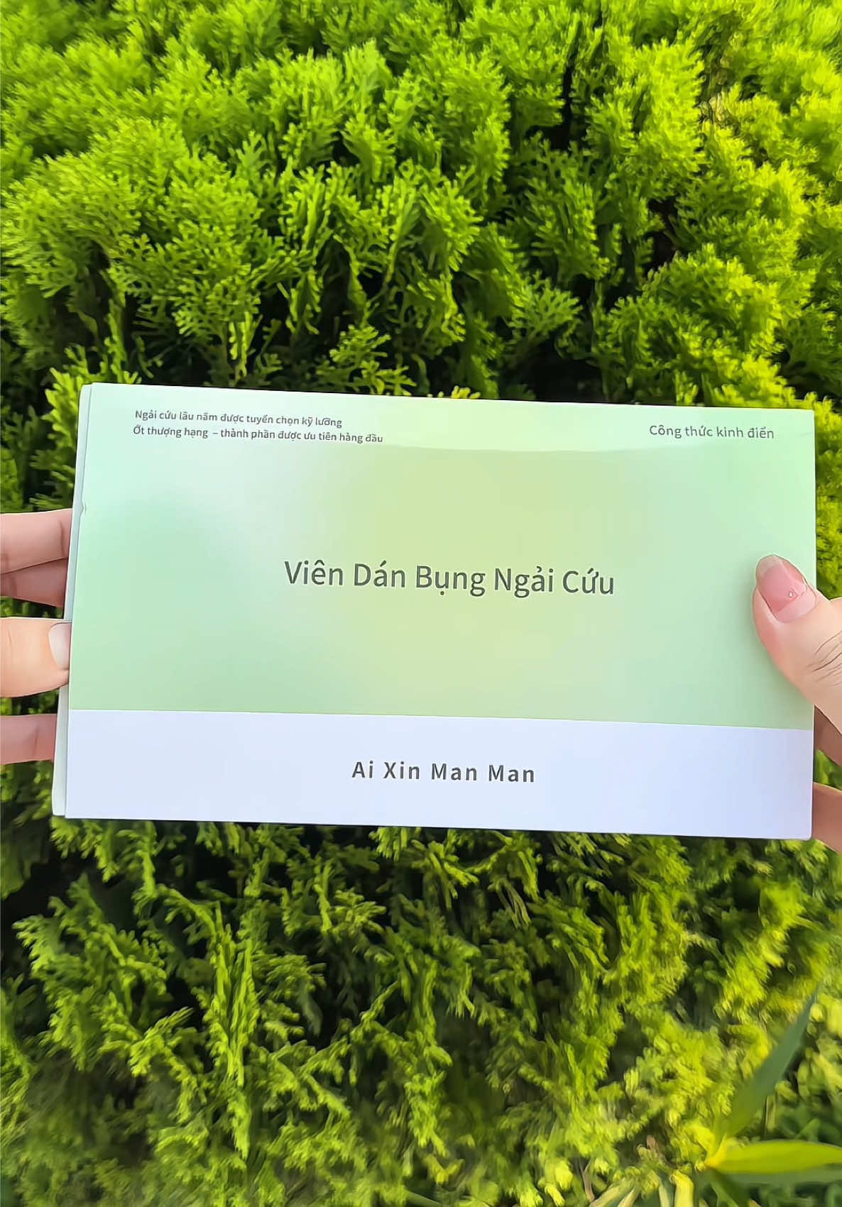 @Linh Đan - Linh Chi
