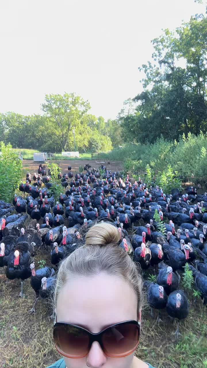 @farmerandtheharpiist