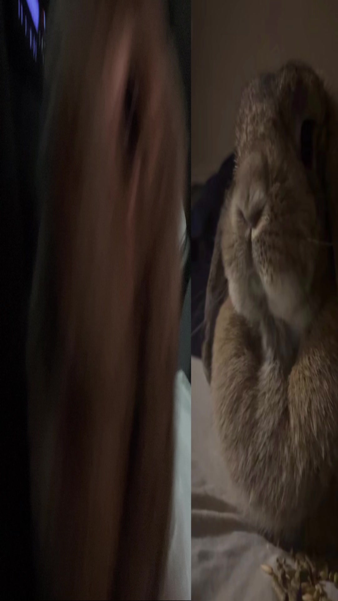 @Fadedbunny69