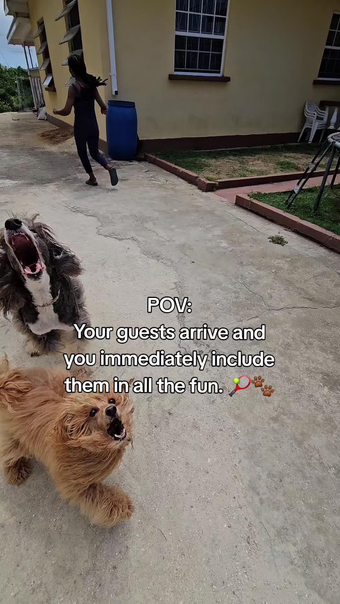 @MixedPetCollective
