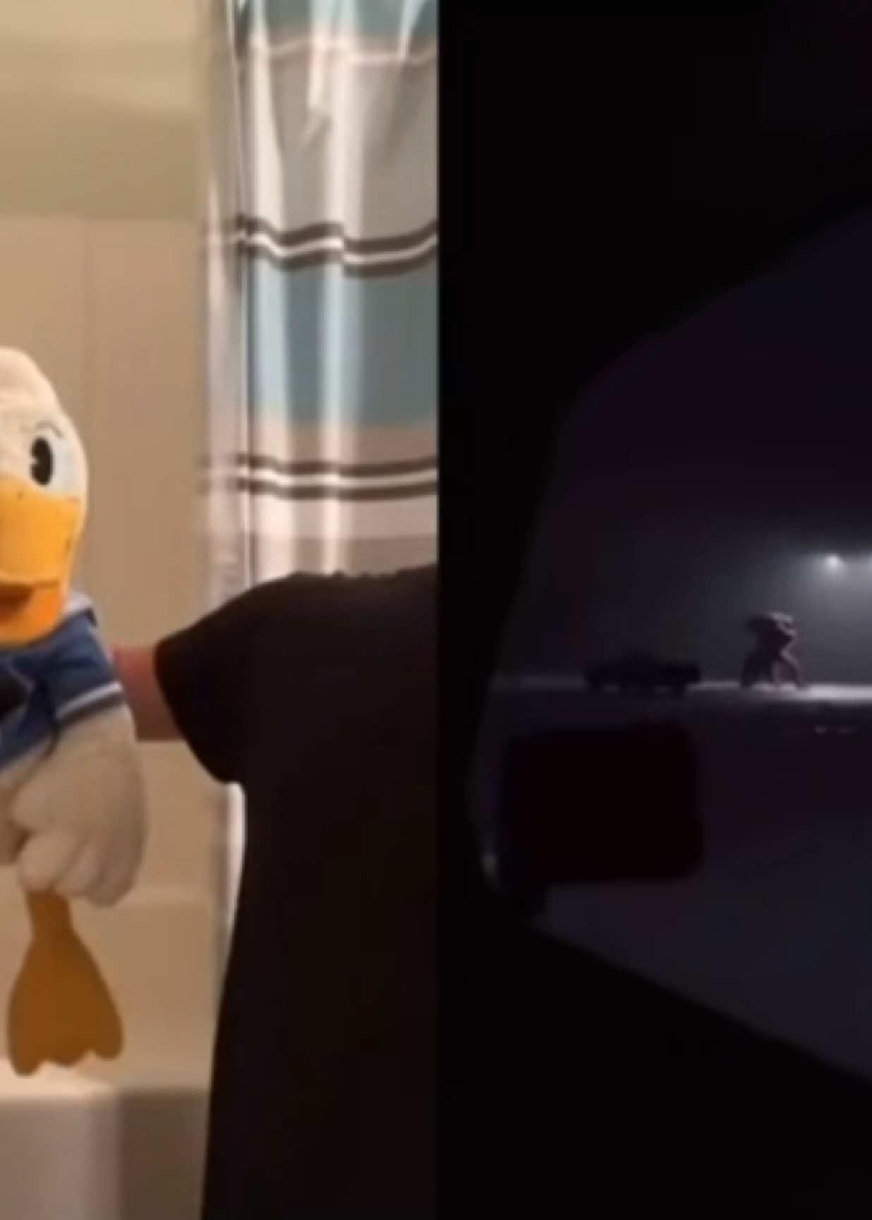 @donaldducc