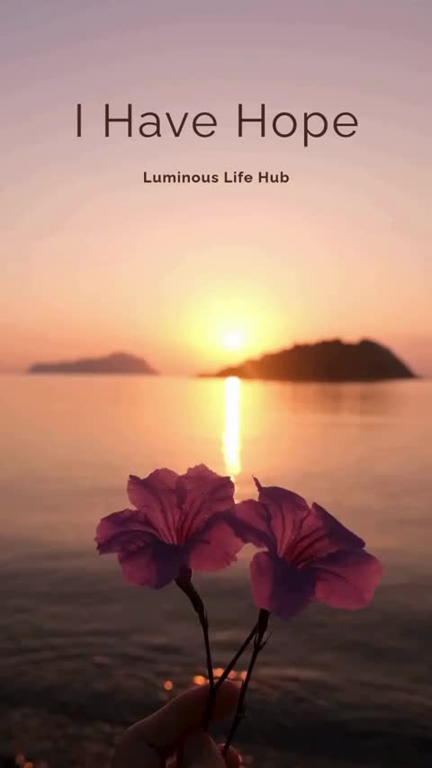 @Luminous Life Hub