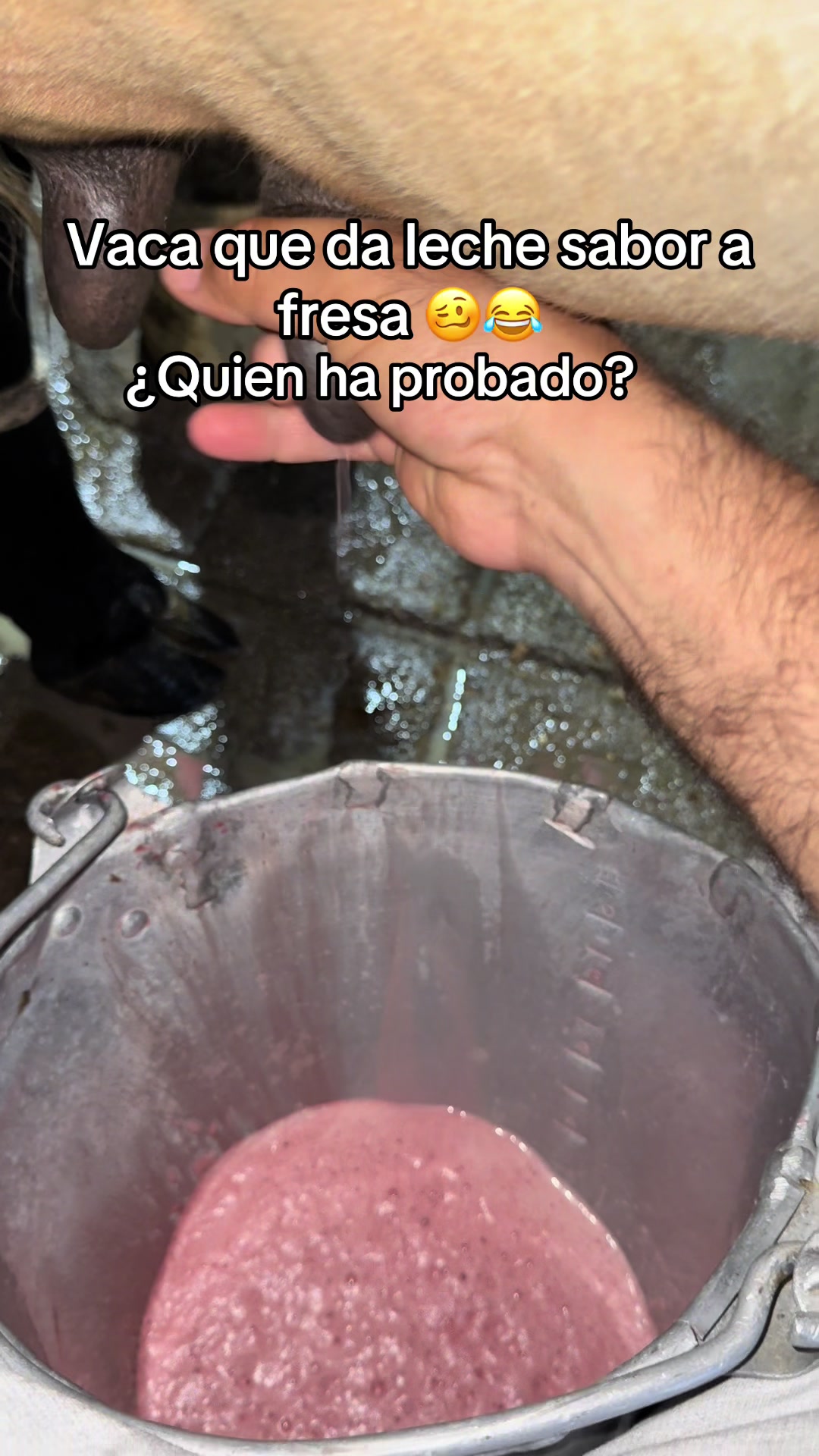 @Jhonatan Cabrera Var
