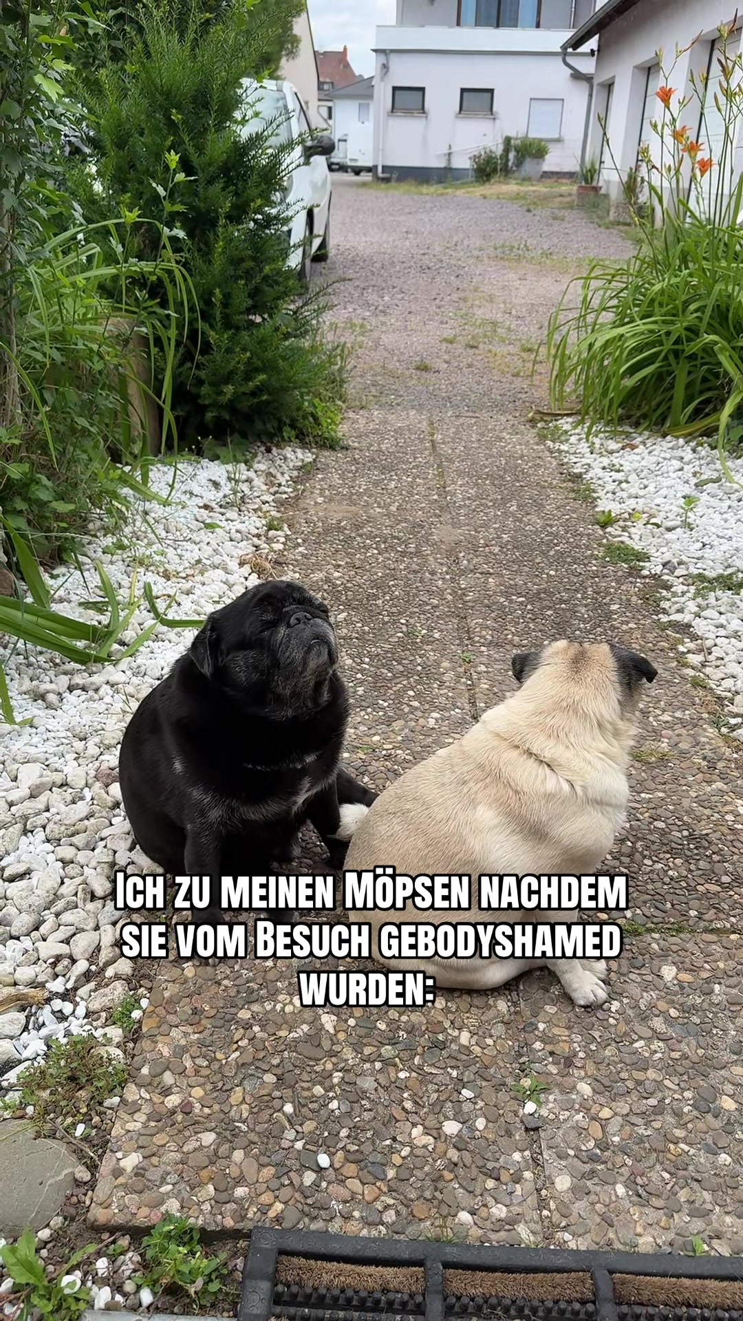 @Magges67