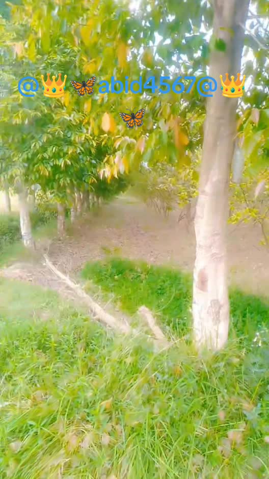 @Abid 4567