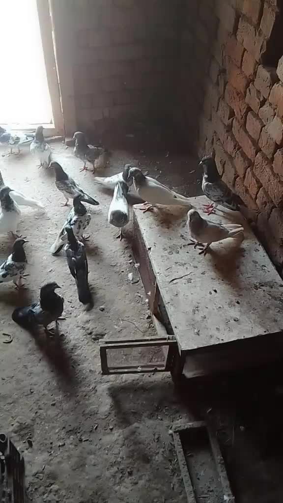 @MALIIK ADnAn PaRHaR