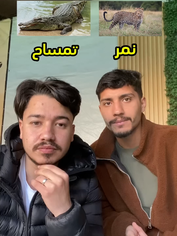 @جيش ابو راني