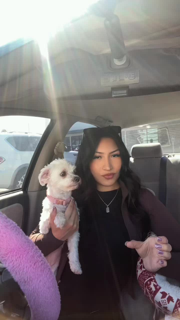 @lexi