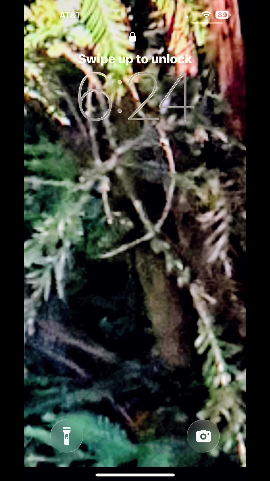 @🌲Forest Friend🌲🙏💗🫈