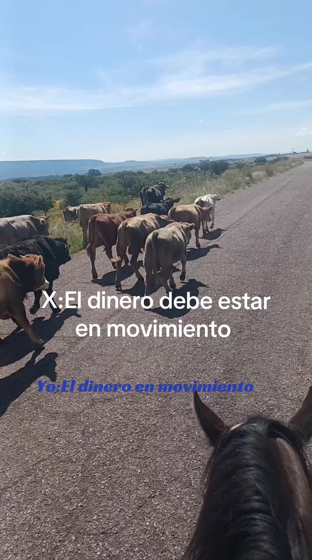 @El zurdo🌵🐴