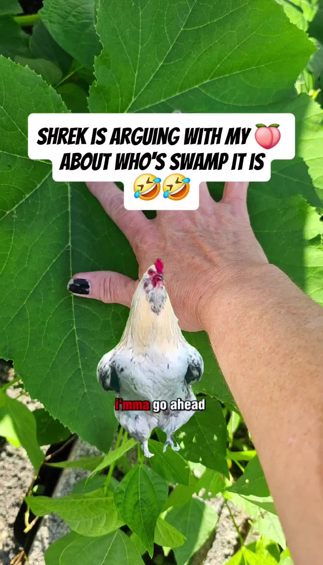 @AppalachianMntCrone