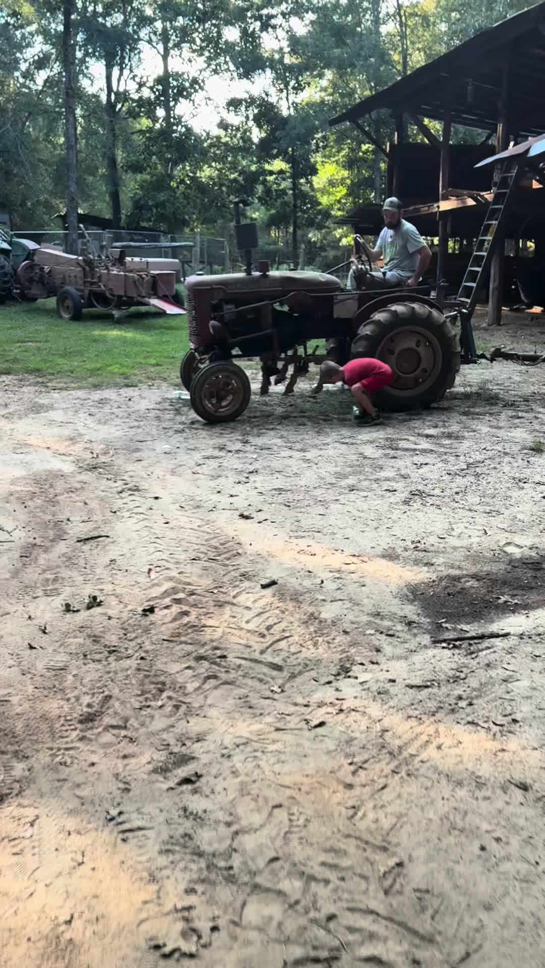@Gray Acres Homestead