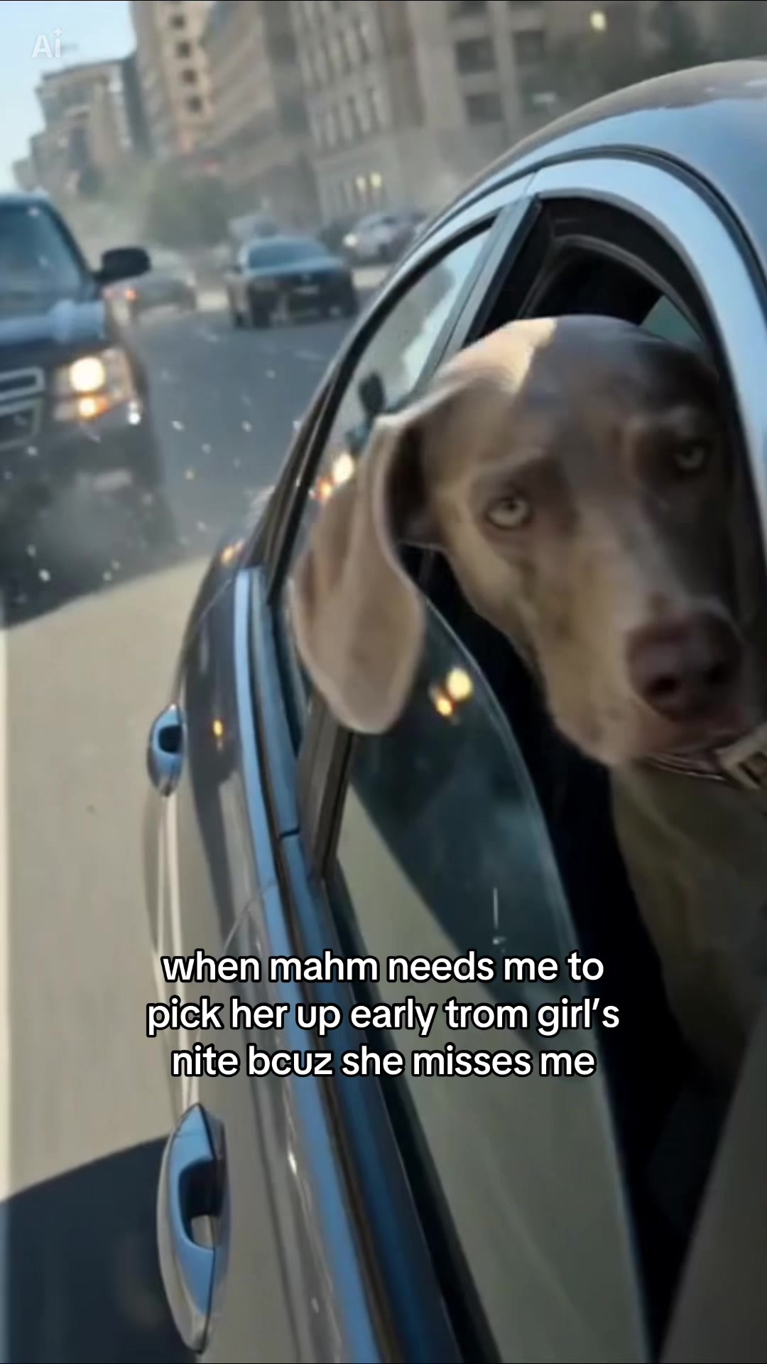 @Zoey the Weim