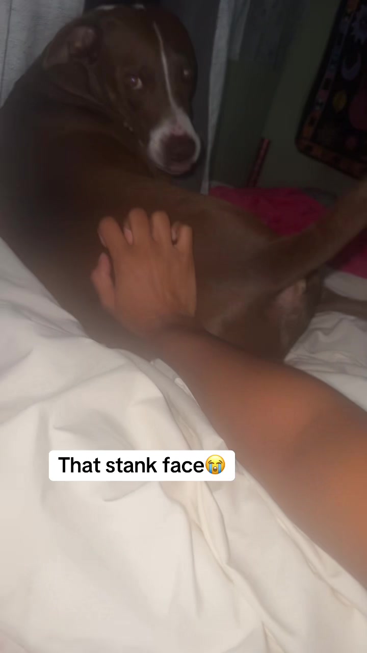 @kaykhaoss
