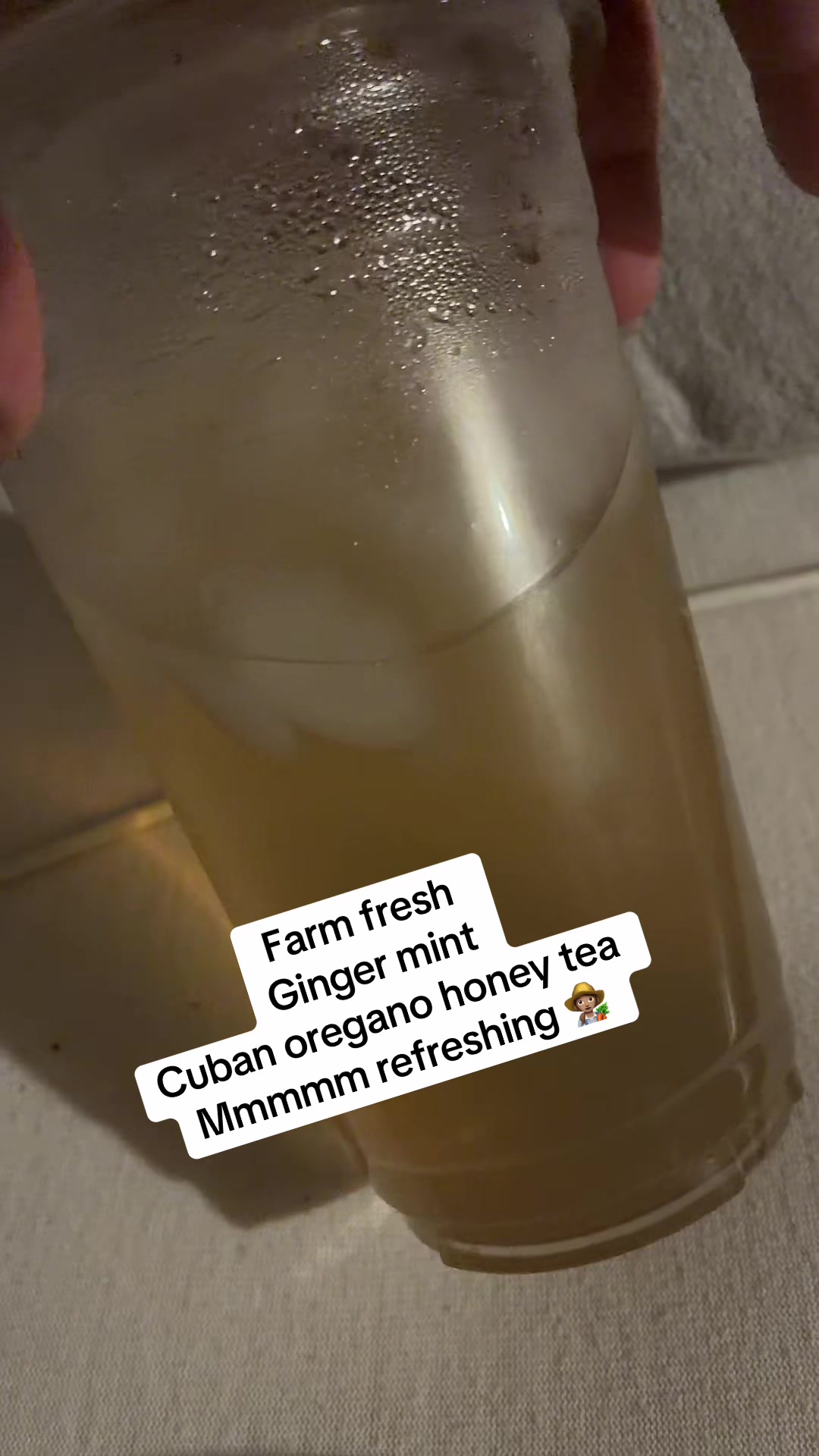 @gobigadventuresfarm