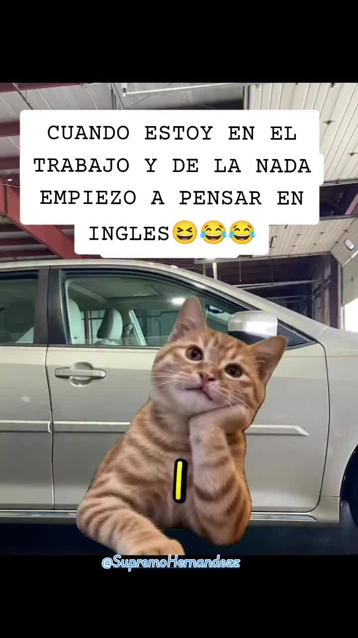 @SupremoHernandezz