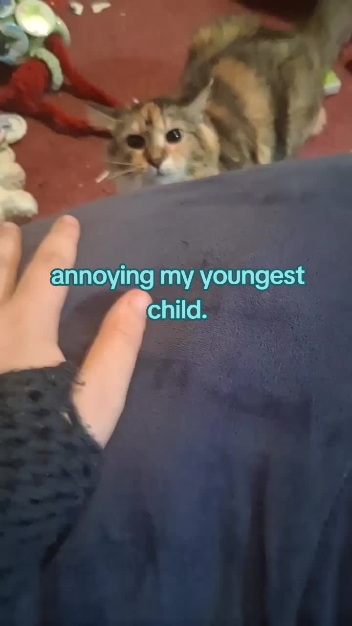 @FroySCParts