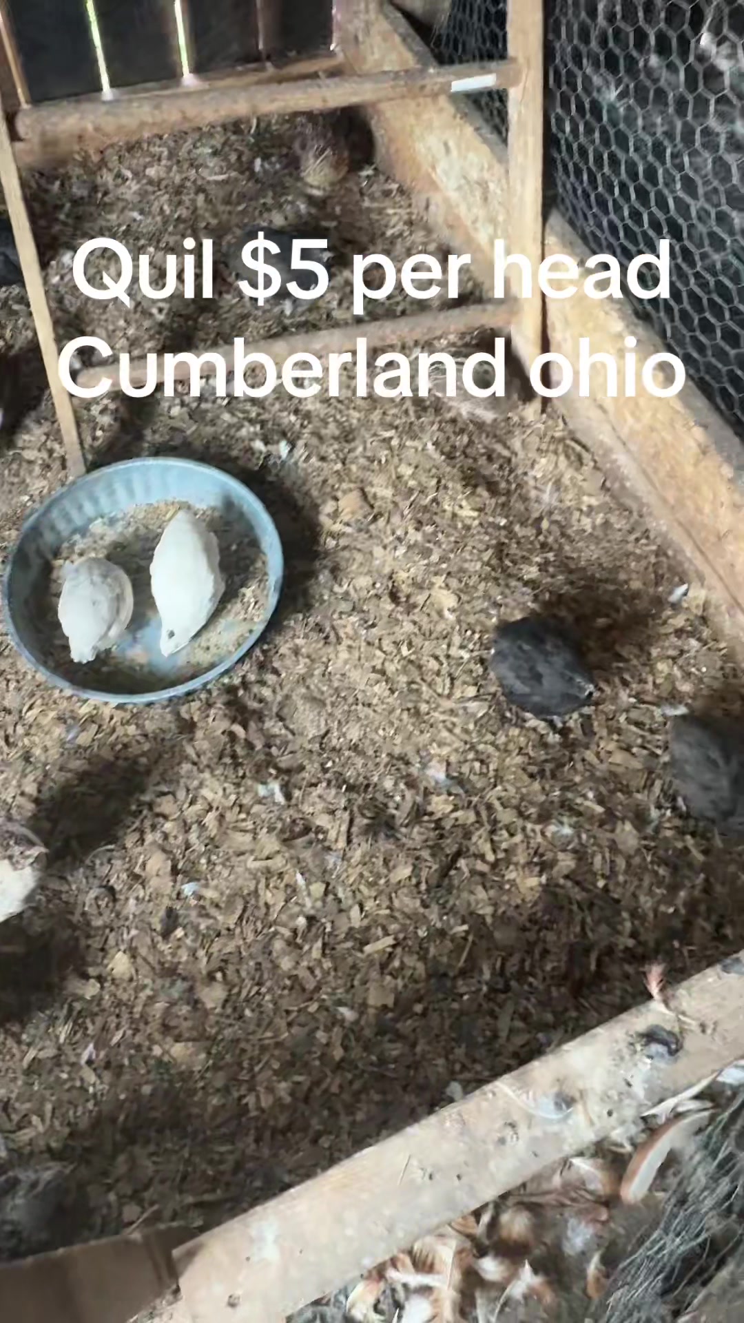 @Bishandra