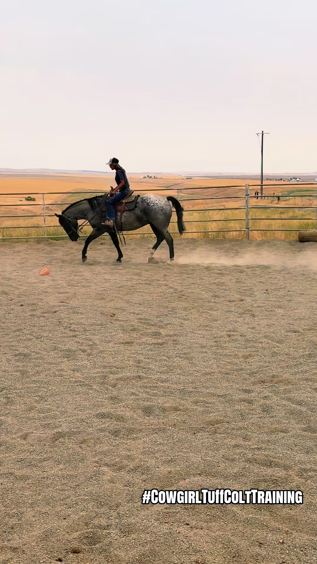 @Cowgirl Tuff Colt Training ❤️