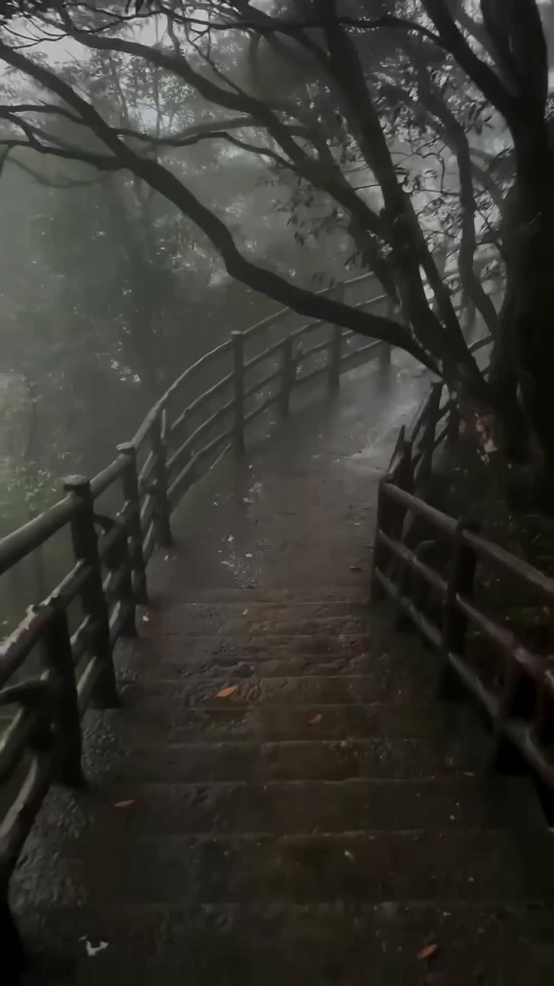 @hefxtom24433464