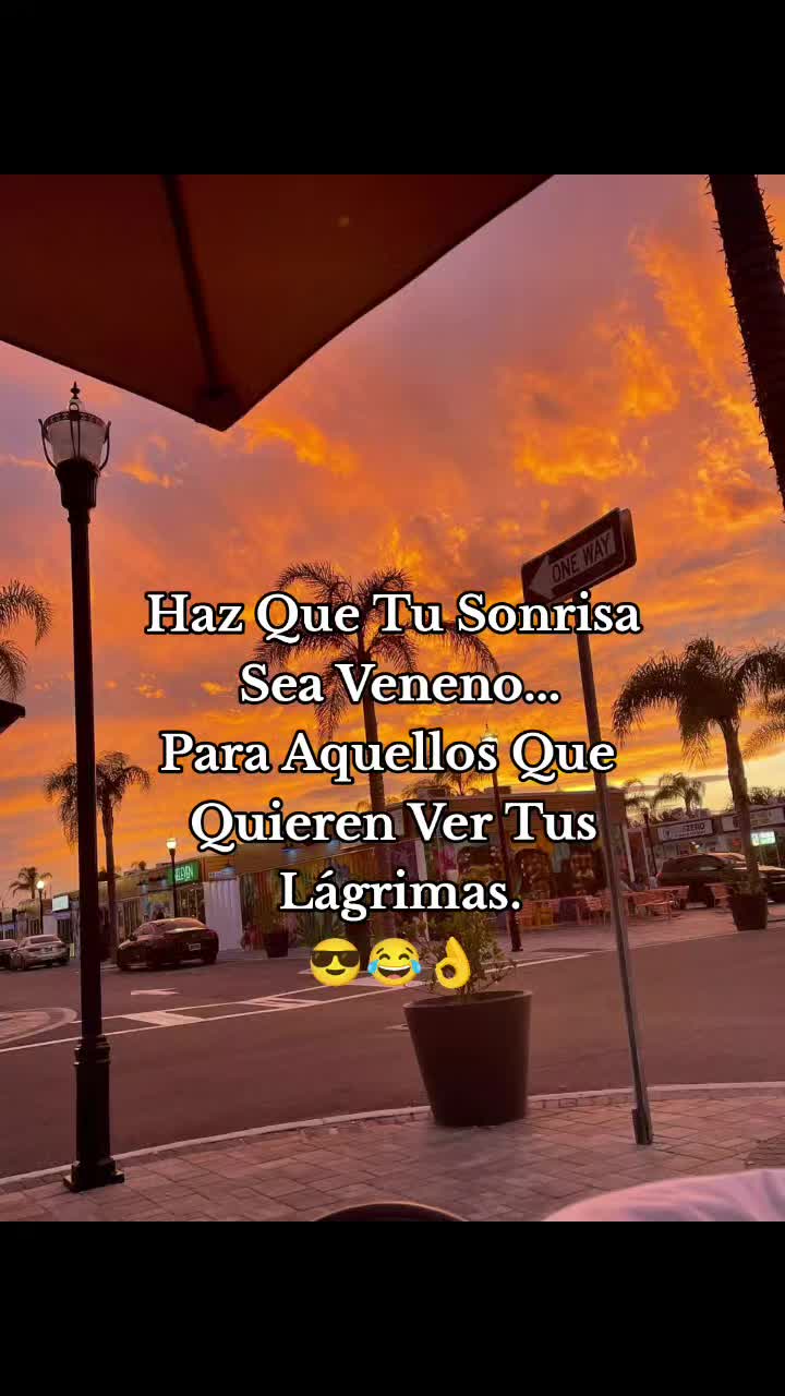 @503🇸🇻