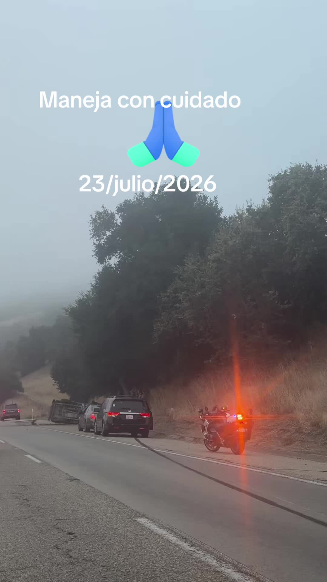 @luz Altamirano
