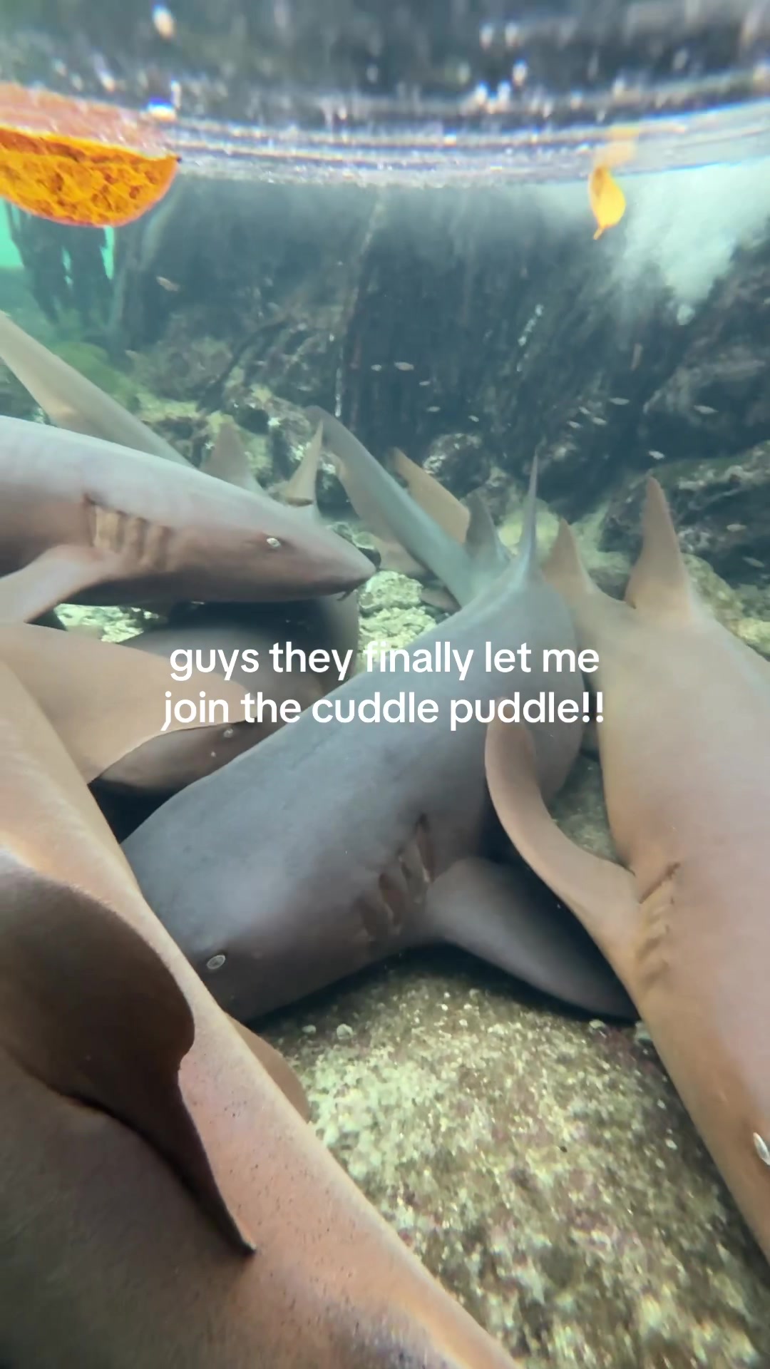 @taylor | scuba instructor