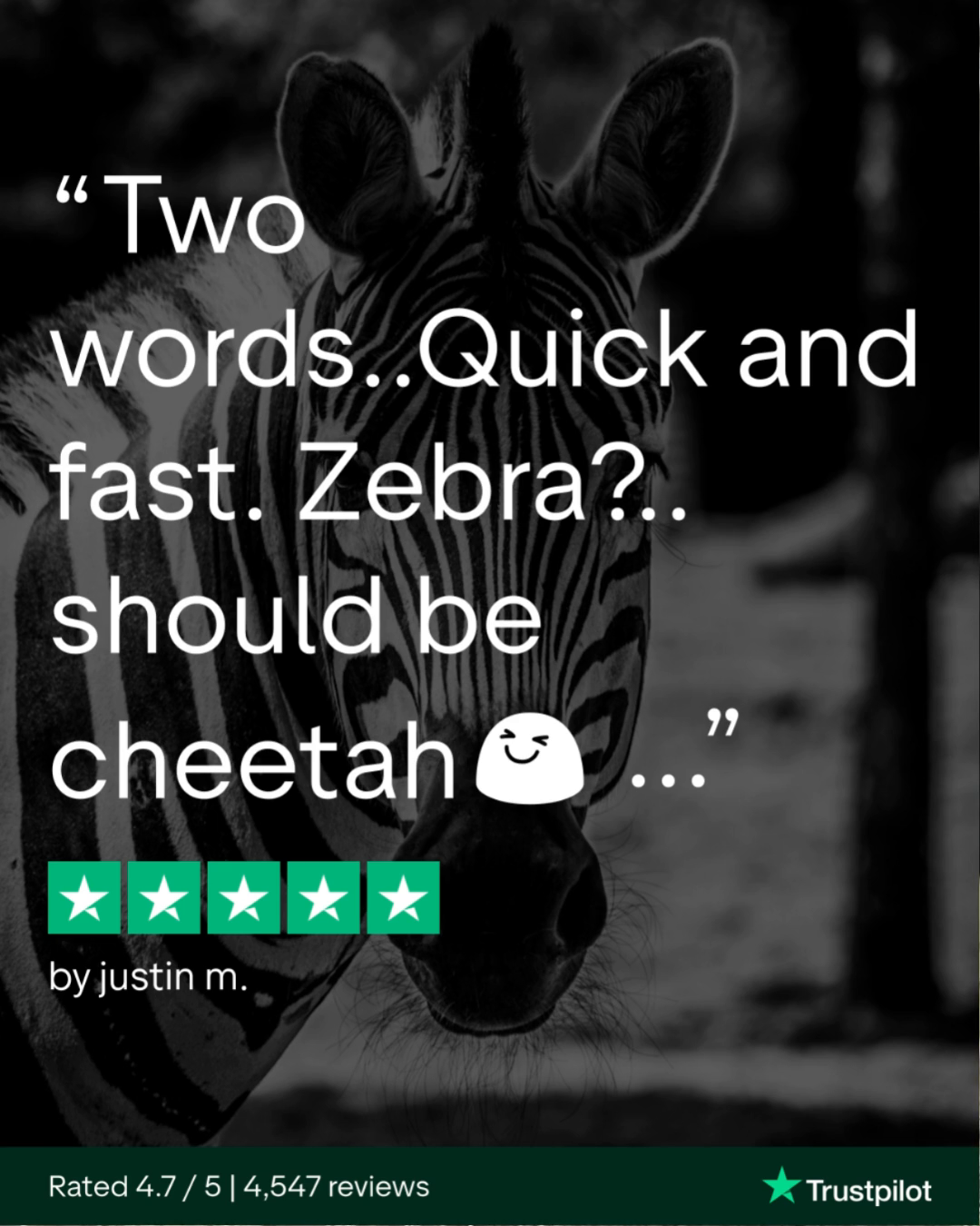 @TheZebra.com