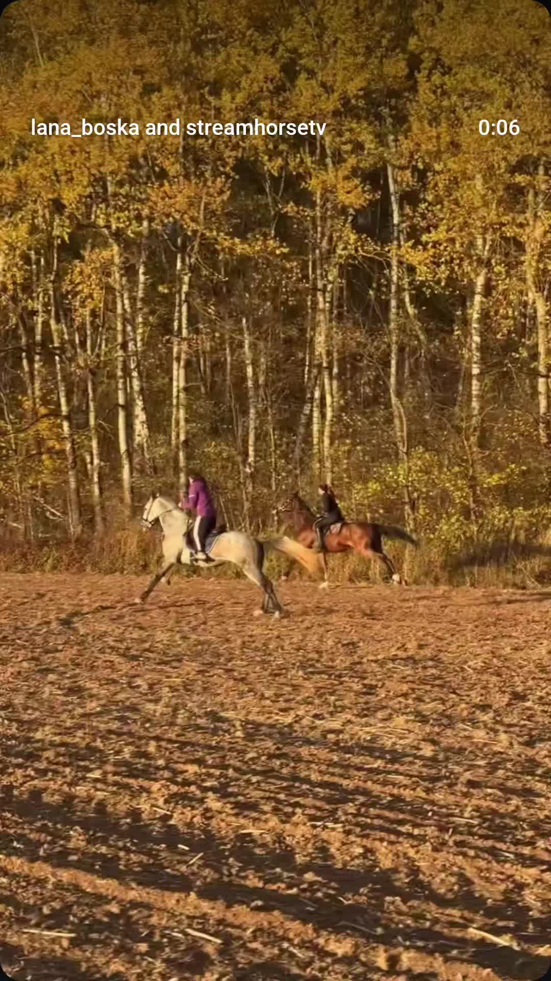 @streamhorse