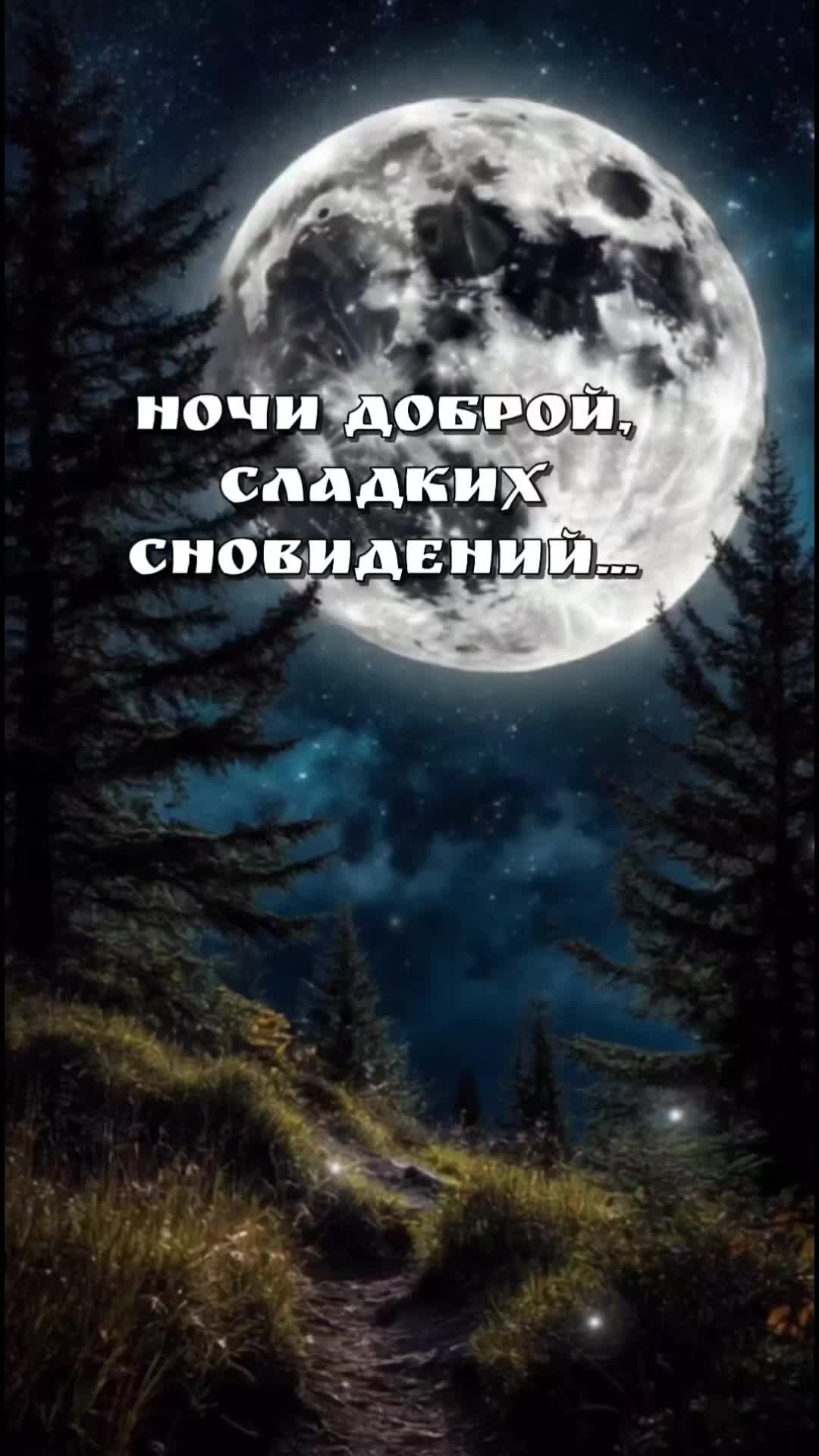 @Цитаты, статусы)