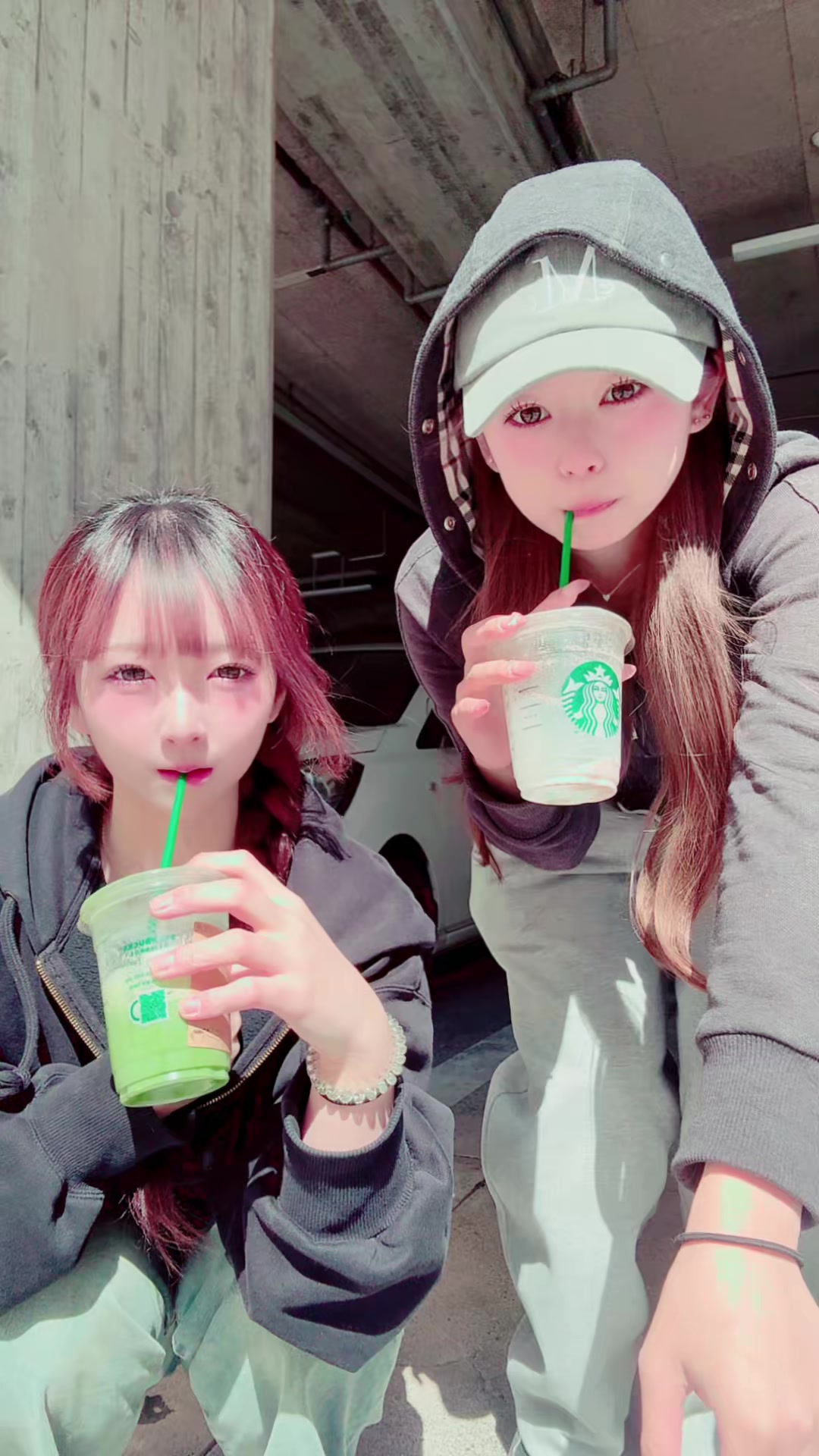 @ありにゃ