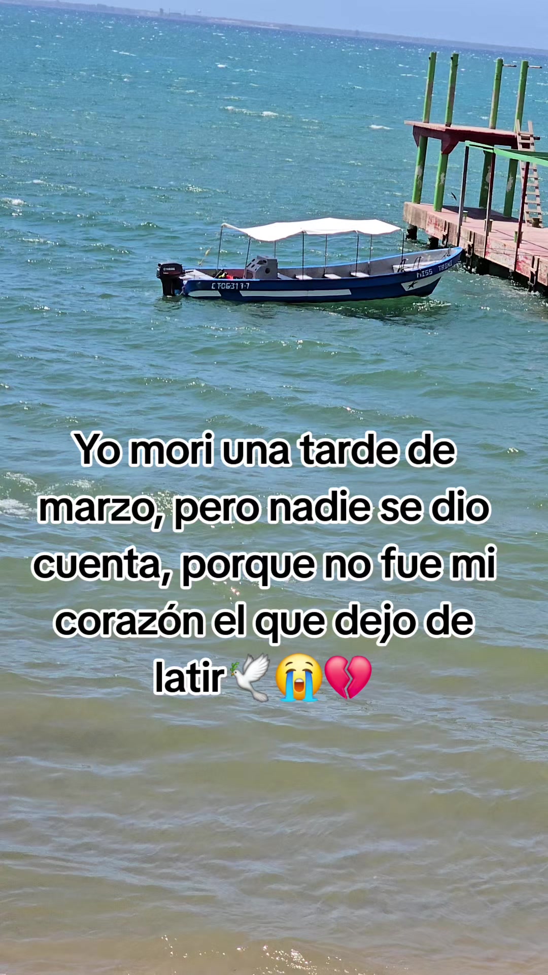 @👩&zwj;🏫yoselin Ayala(Maestra)📚