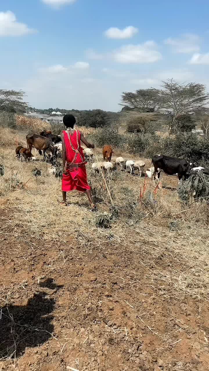 @Nyangulo _janja