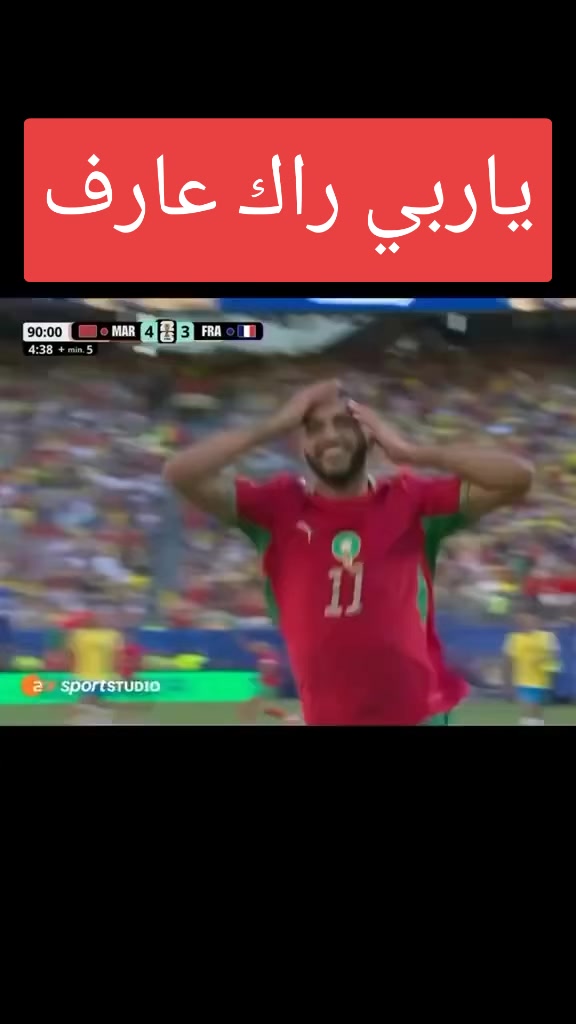 @وداد الأمة