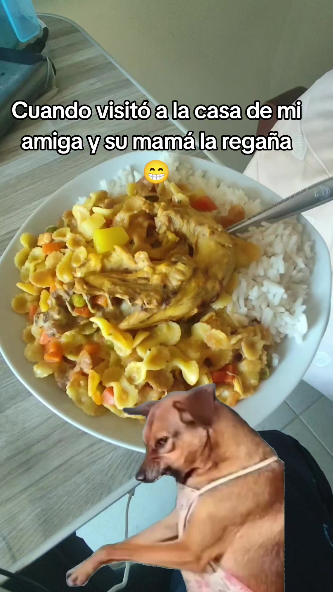 @Rodrich 🐶🌽
